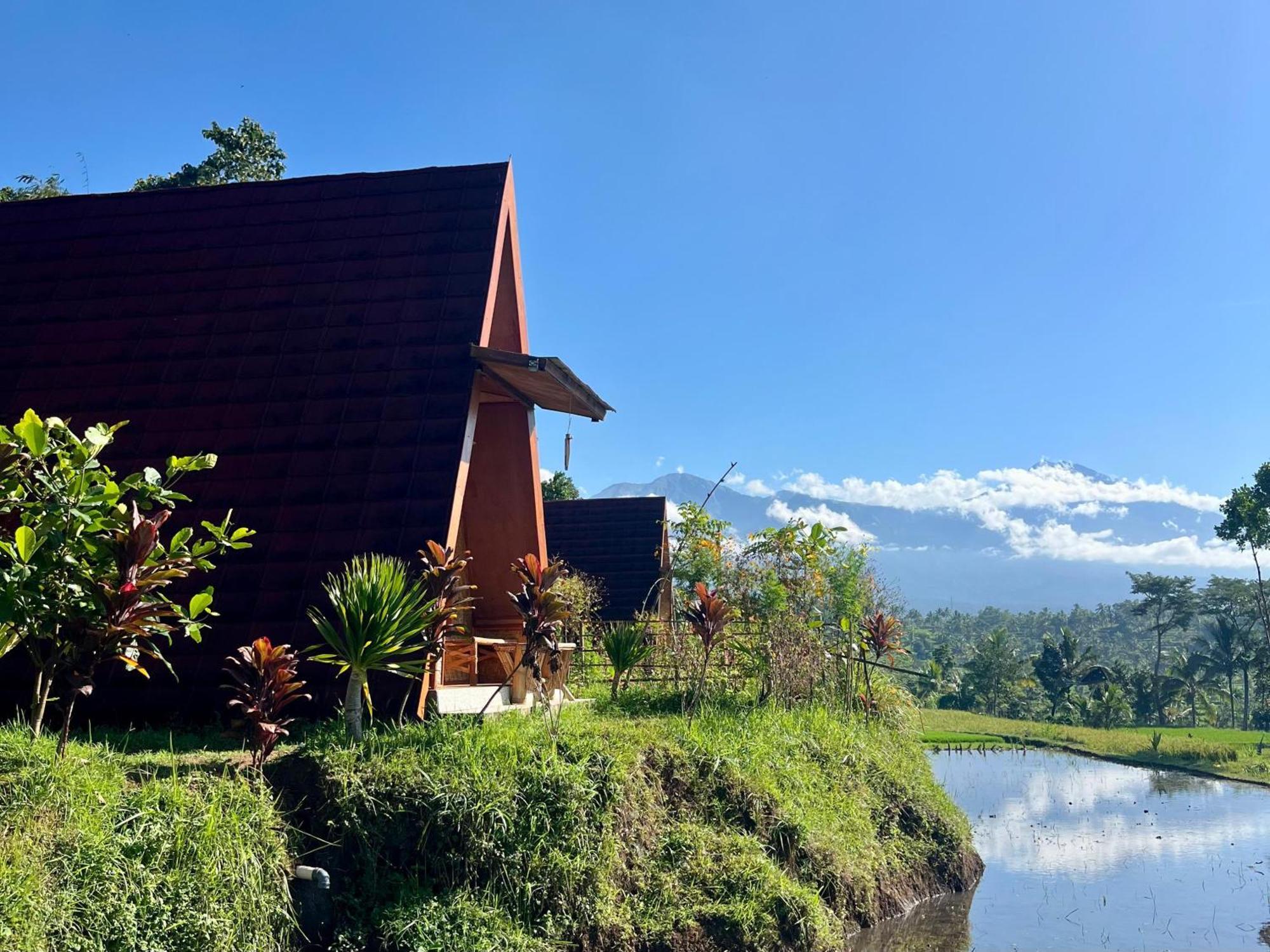 Muni'S Terrace Bungalow Kotaraja Екстериор снимка